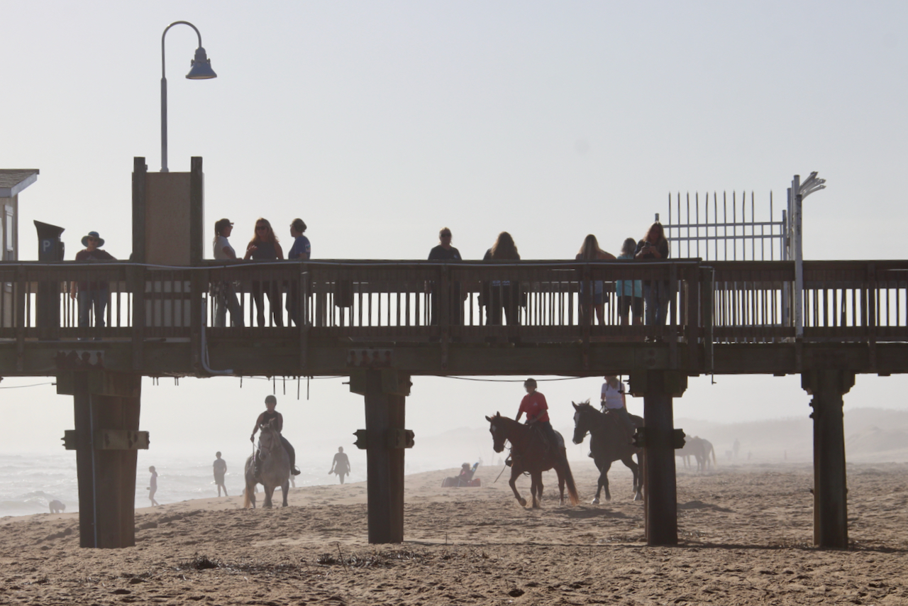 Beach Ride in Sandbridge
