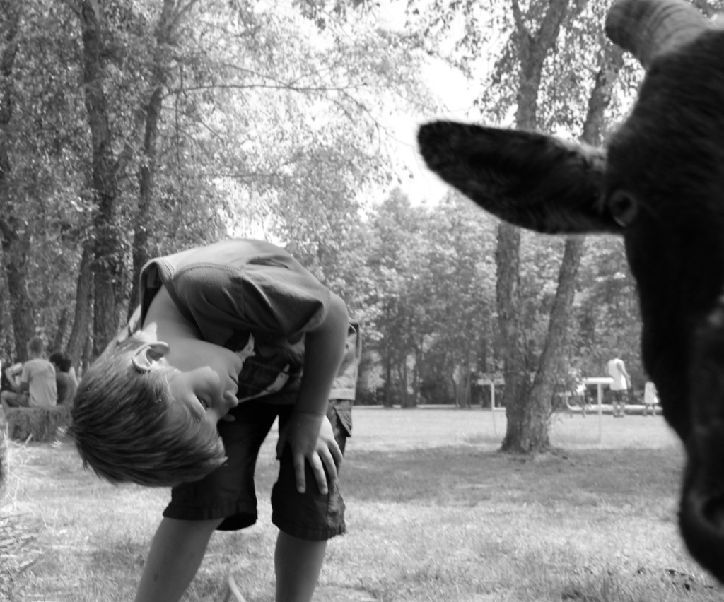 Mason Saum, 7, inspects a goat amid a busy afternoon in Pungo. He and his family are visiting the area from Denver, Colo. [John-Henry Doucette/The Princess Anne Independent News] 