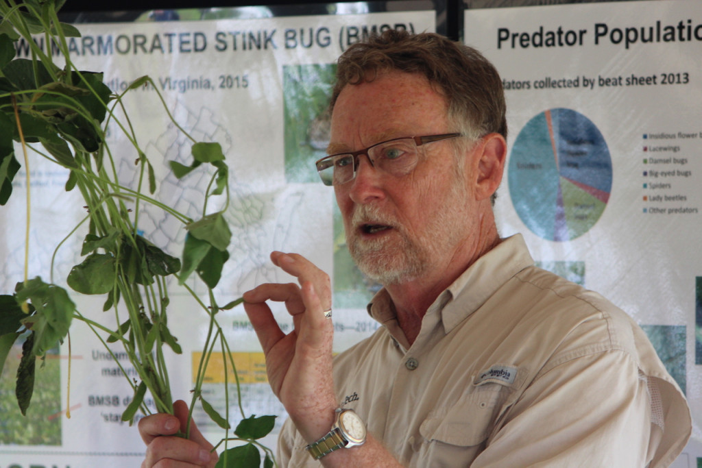 Below, Dr. Ames Herbert Jr., professor of entomology, discussed the insects that both help and potentially harm soy, using a plant to make a point while speaking with growers. [John-Henry Doucette/The Princess Anne Independent News]