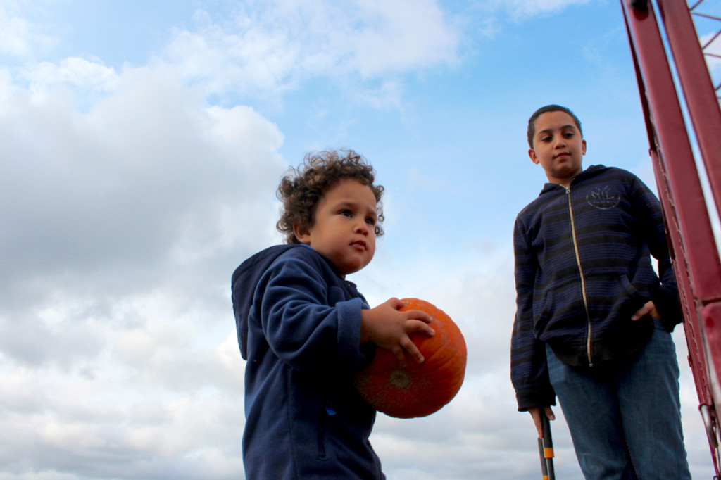 Mateo Valentin, 3, of Chesapeake places a freshly-cut pumpkin into a cart at Cullipher Berry and Pumpkin Patch with his brother, Sergio, nearby. [John-Henry Doucette/The Princess Anne Independent News] 
