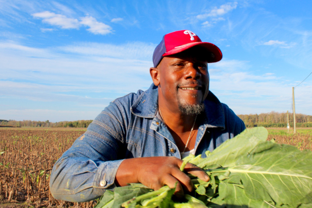 The Rev. Ronnie Vinson, pastor at New Jerusalem Holiness Church in Carrsville, loads collards into the back of a truck. [John-Henry Doucette/The Princess Anne Independent News]