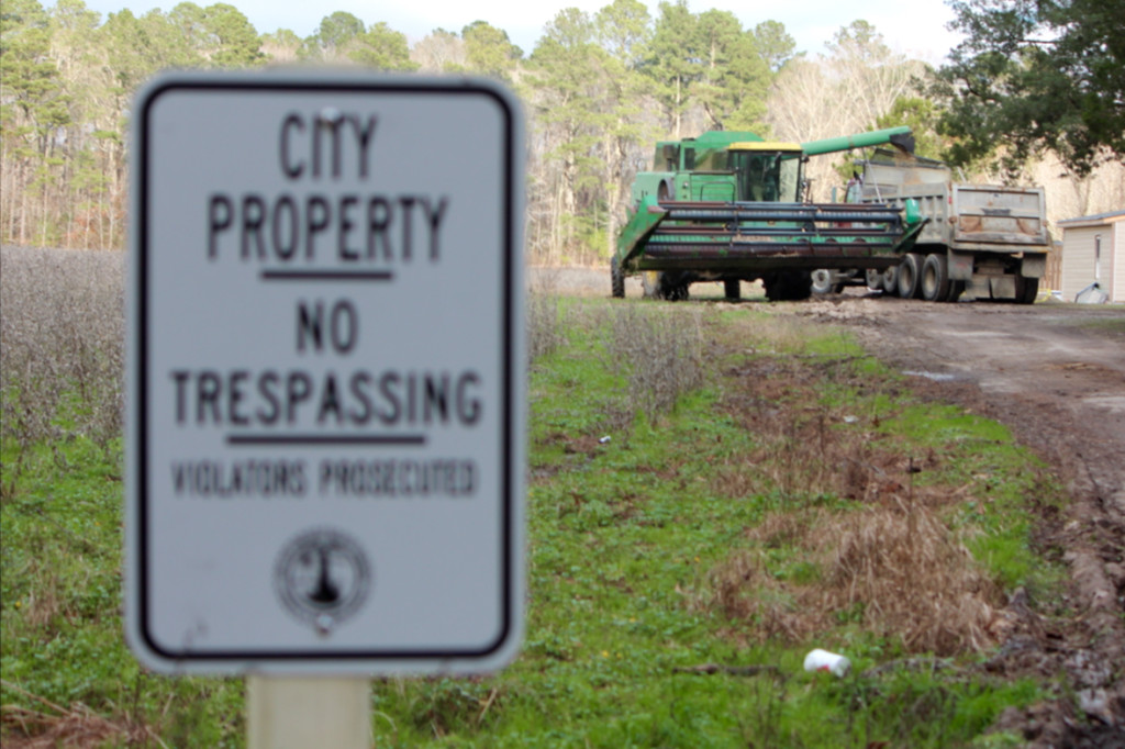 At left, the city land along Salem Road where two farming operations were discovered in late December is now posted. Soy from another field is being placed in the truck. [John-Henry Doucette/The Princess Anne Independent News]
