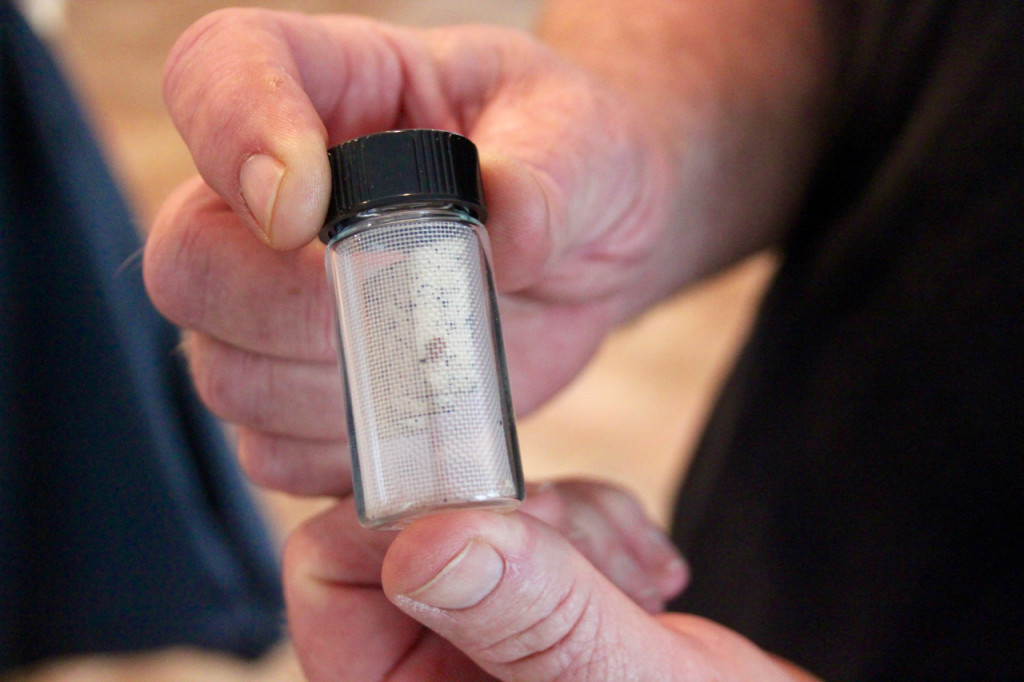 David Engelbert holds one of the vials containing live pests. This is the target of the detecting dogs. [John-Henry Doucette/The Princess Anne Independent News]