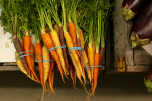 Offerings include a variety of fresh produce, such as these carrots and eggplant. [John-Henry Doucette/The Princess Anne Independent News]