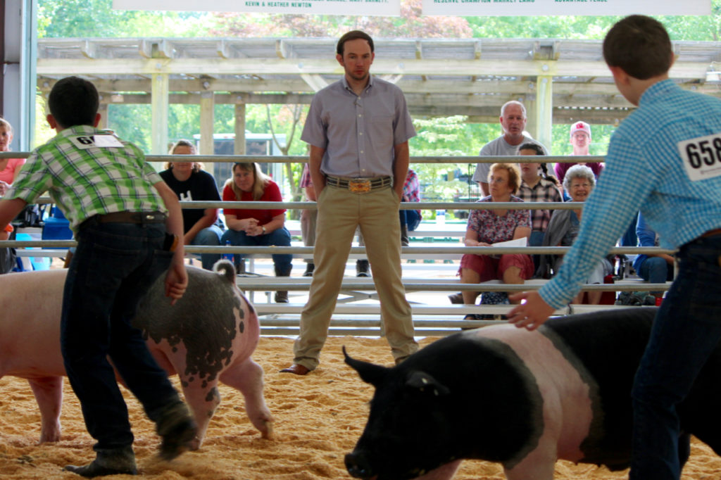 Judge Brad Bennett, 27, of Seward, Neb., works with 4-H members Wyatt Schratwieser, 12, and Dawson Cox, 13, on Friday, June 3. Bennett, in addition to judging, coached the young people about their handling and care of the animals. [John-Henry Doucette/The Princess Anne Independent News] 
