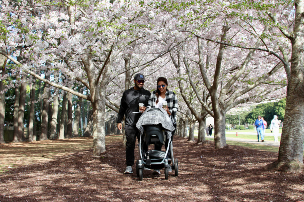 In Bloom at Red Wing Park